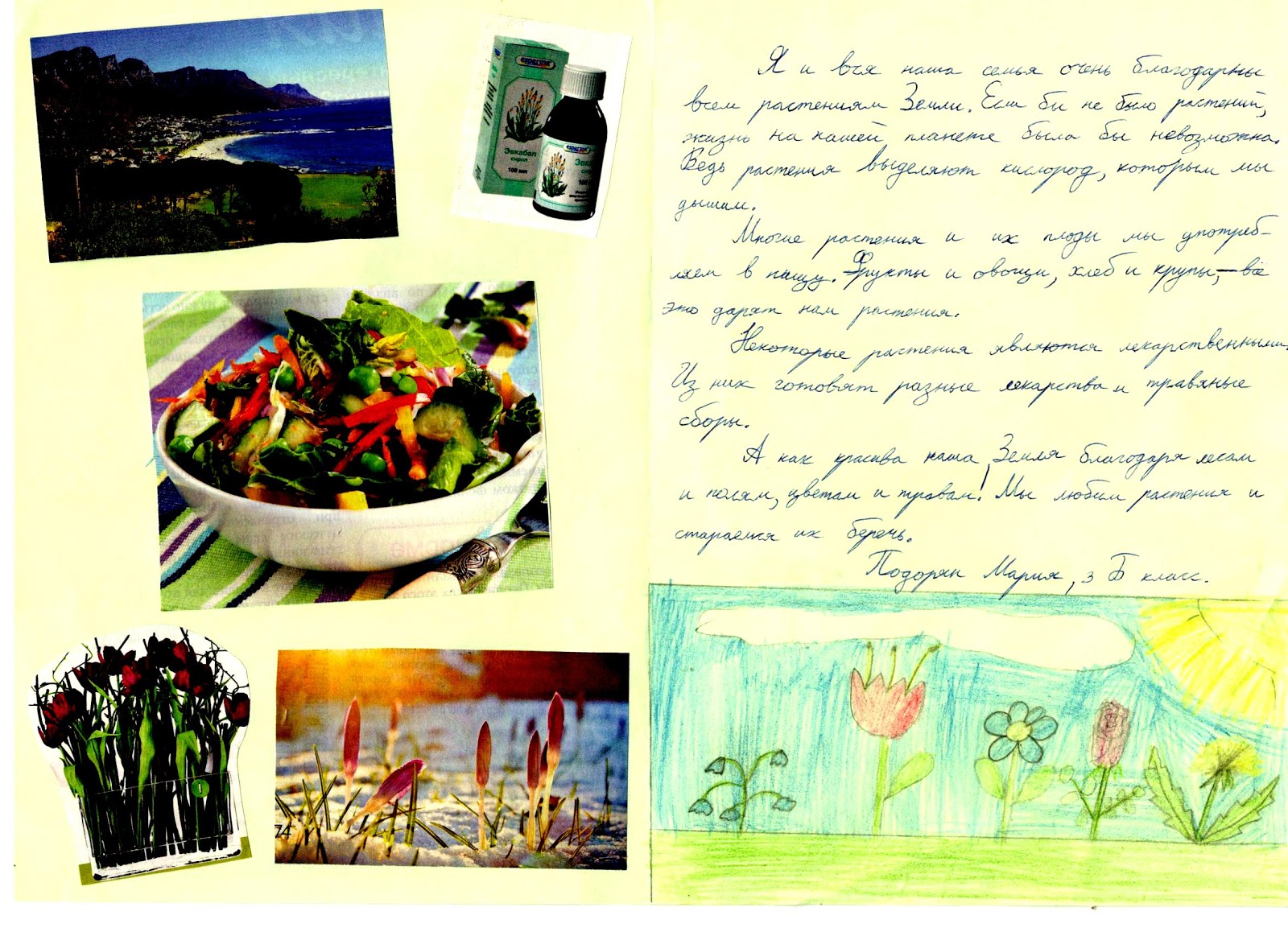 придумать сказочную историю о диком животном. письмо природе. благодарственное письмо растениям.