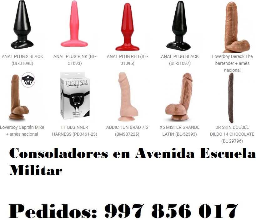 en Avenida Escuela Militar