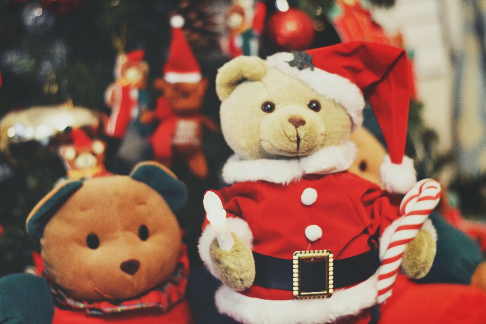 Do Tell, Anabel: Memories of a 'Beary' Merry Christmas with a Toddler...