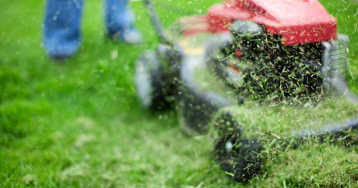 Grass recycling and removal in the DMV area - Lawn and Landscaping in