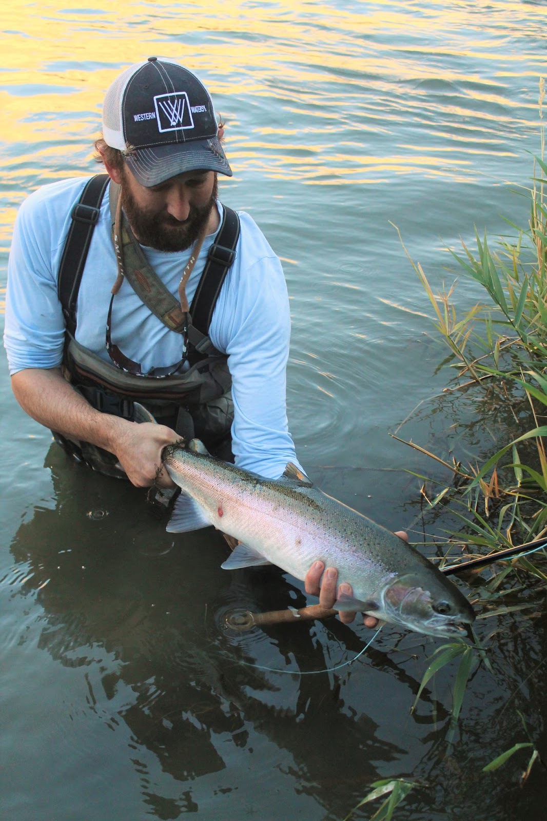 Where to Go Fly Fishing in Washington in September