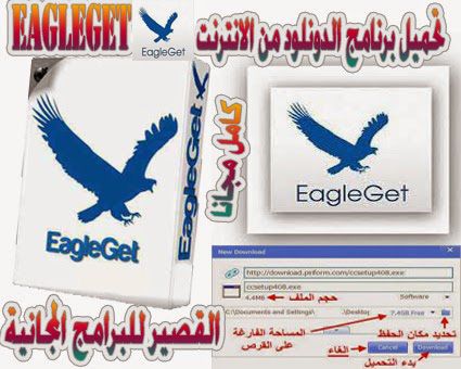 eagleget android
