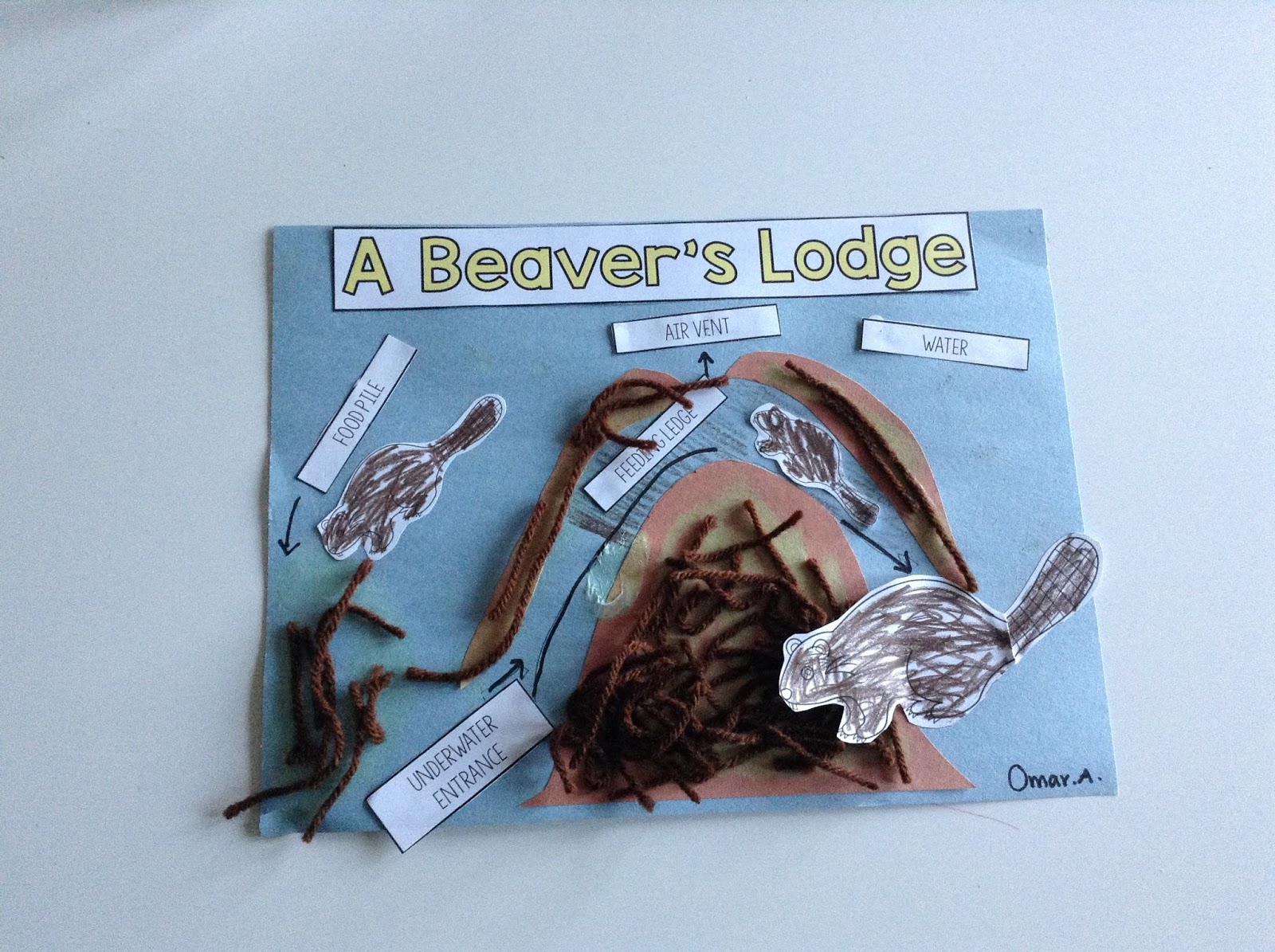 TeacherMomPlus3 Beaver's Lodge Craft Beaver lodge, Animal activities