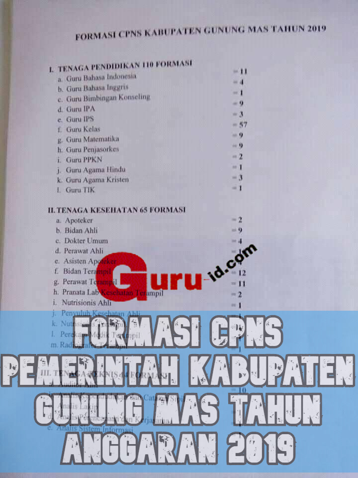 Formasi CPNS Kabupaten Gunung Mas 2019 | SMA D-III S-1 ...