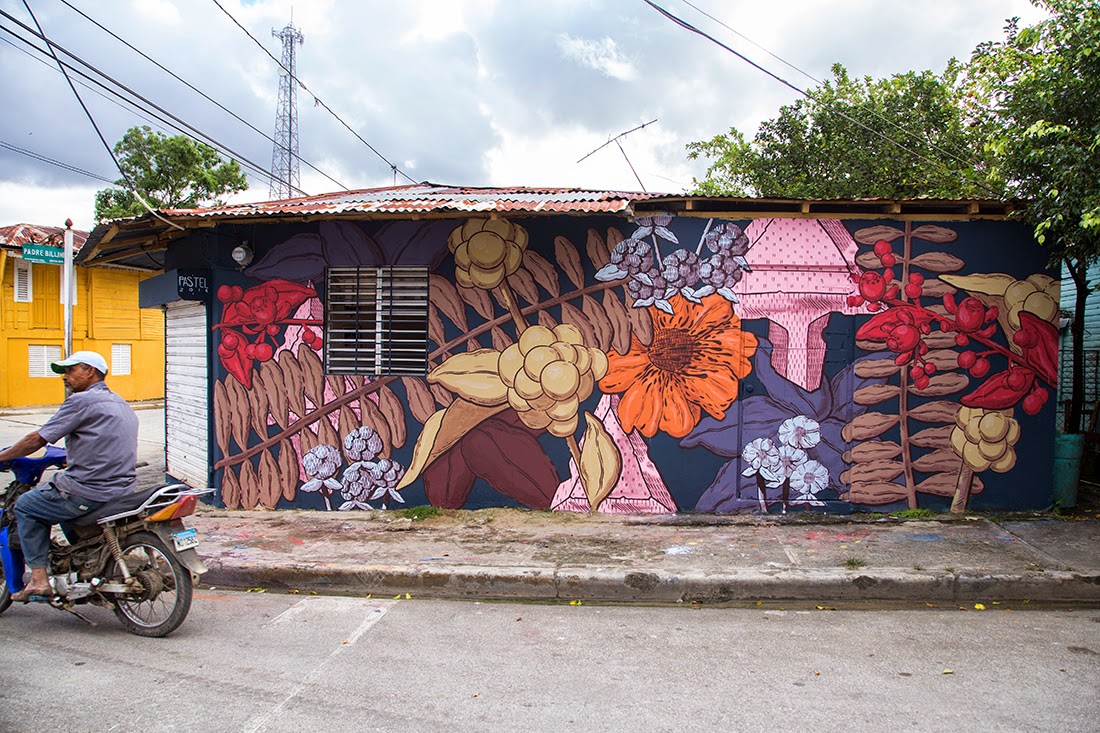 While we last heard from him in Miami, Pastel is now in the Caribbean where he was invited by the ArteSano Street Art Festival to paint a new piece in Dominican Republic.