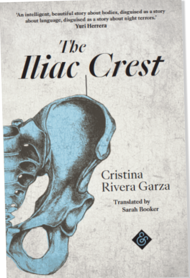 THE ILIAC CREST