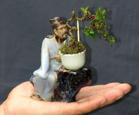 Perlakuan dan Cara Membentuk Bonsai