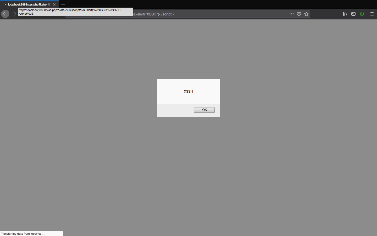 script bug XSS