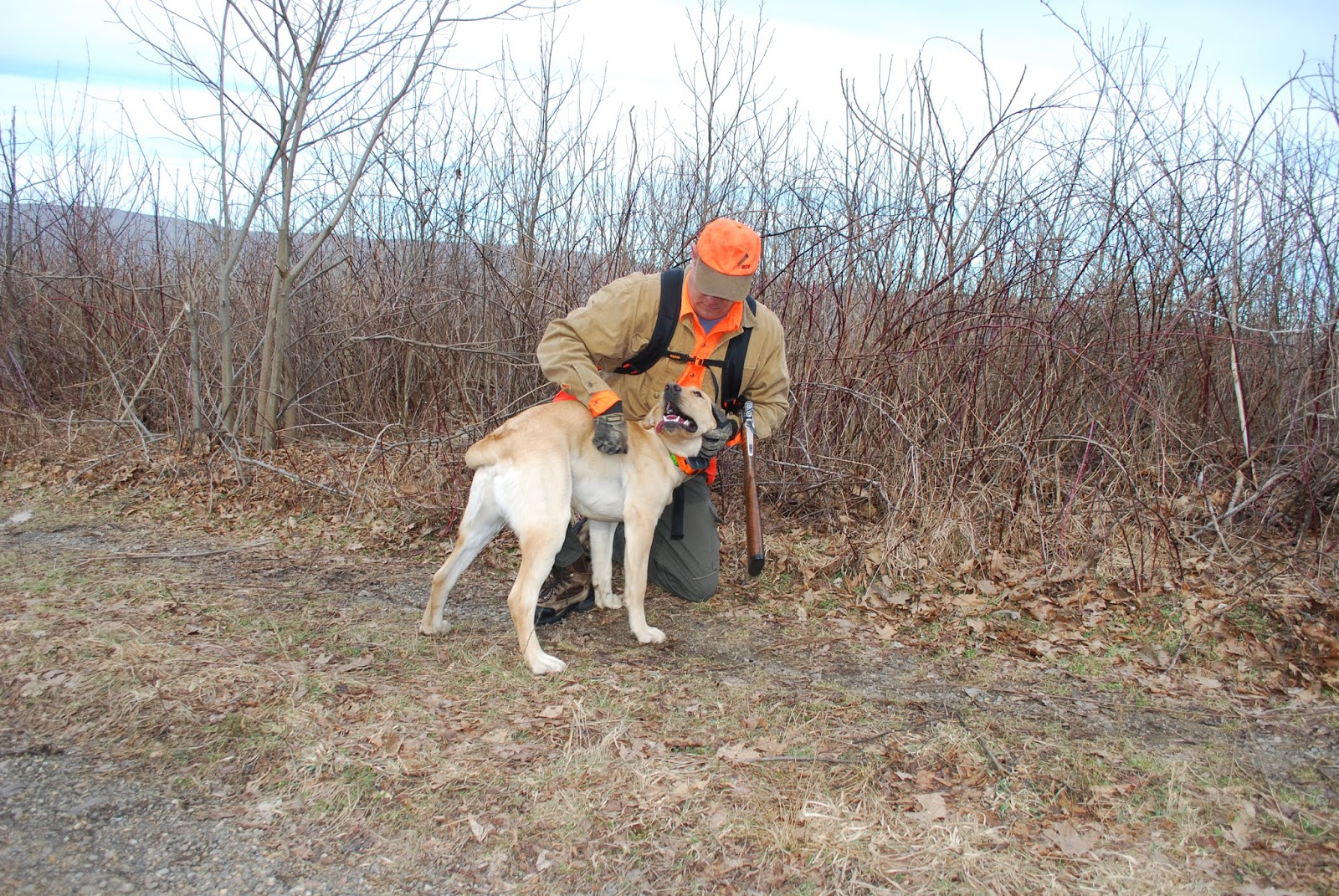Bruce and Elaine Ingram Indoors and Out Grouse Hunting in the Virginia