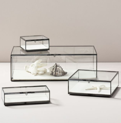 Glass Display Shadow Boxes for Sea Shells