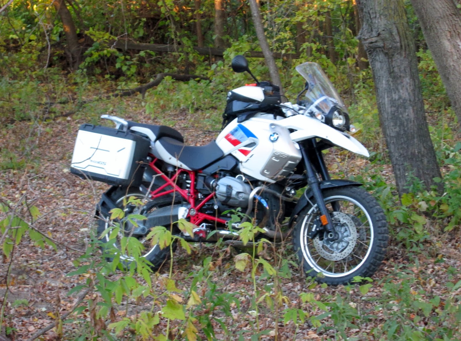 Сервис bmw rzr