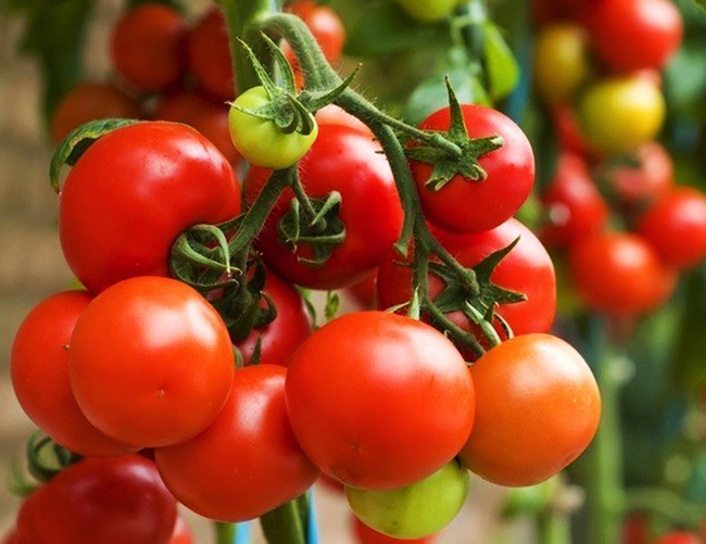 Healthy, Seasonal, Whole Food Recipes Blog Springtime Vegetarian Minestrone Soup