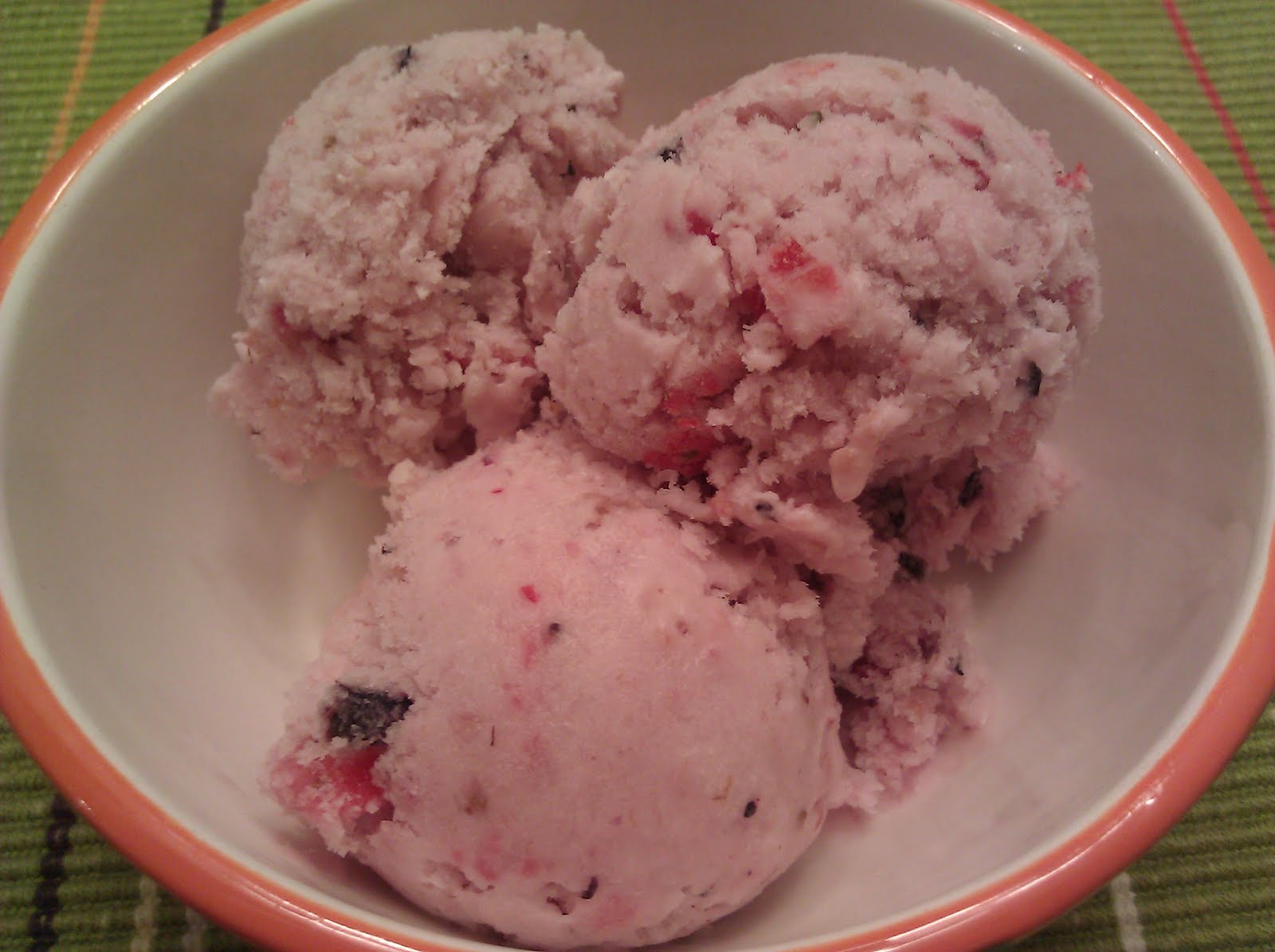 Susan's wonderful world Homemade berry gelato 莓果義大利冰淇淋