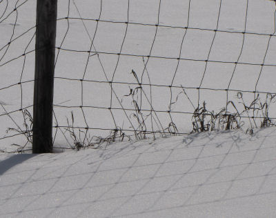 wire fence shadows on snow