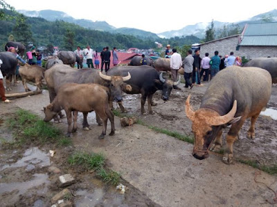Mercado de Bac Ha, Lao Cai, Vietnam Mercado de Bac Ha, Lao Cai, Vietnam