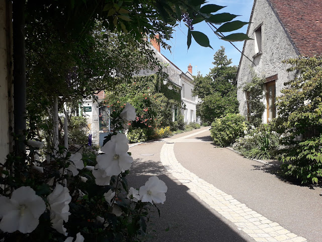 The main street of the village of Chedigny in August showing flowers.