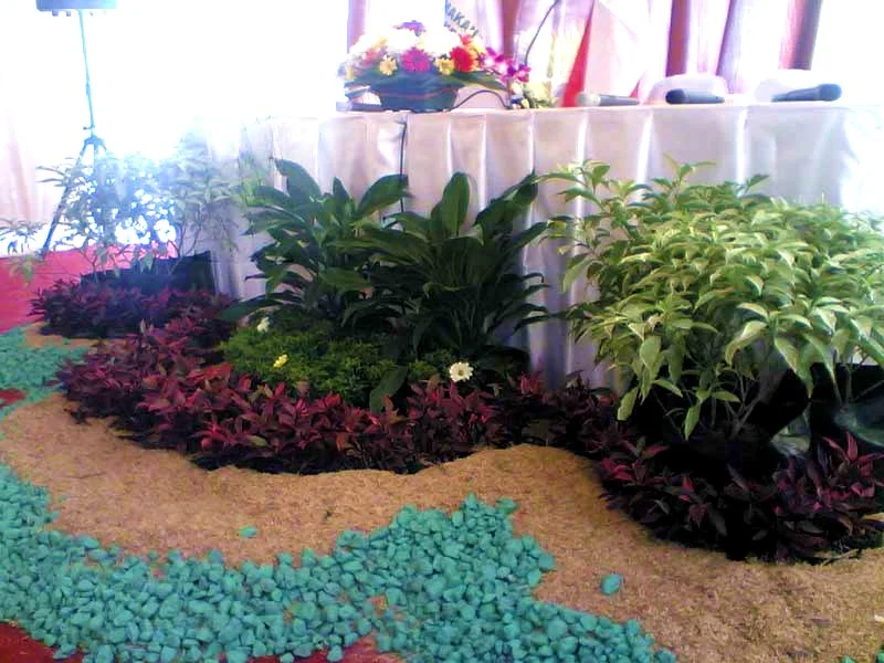 Bunga Segar: UMKM Tanaman Hias dan Dekorasi Rumah