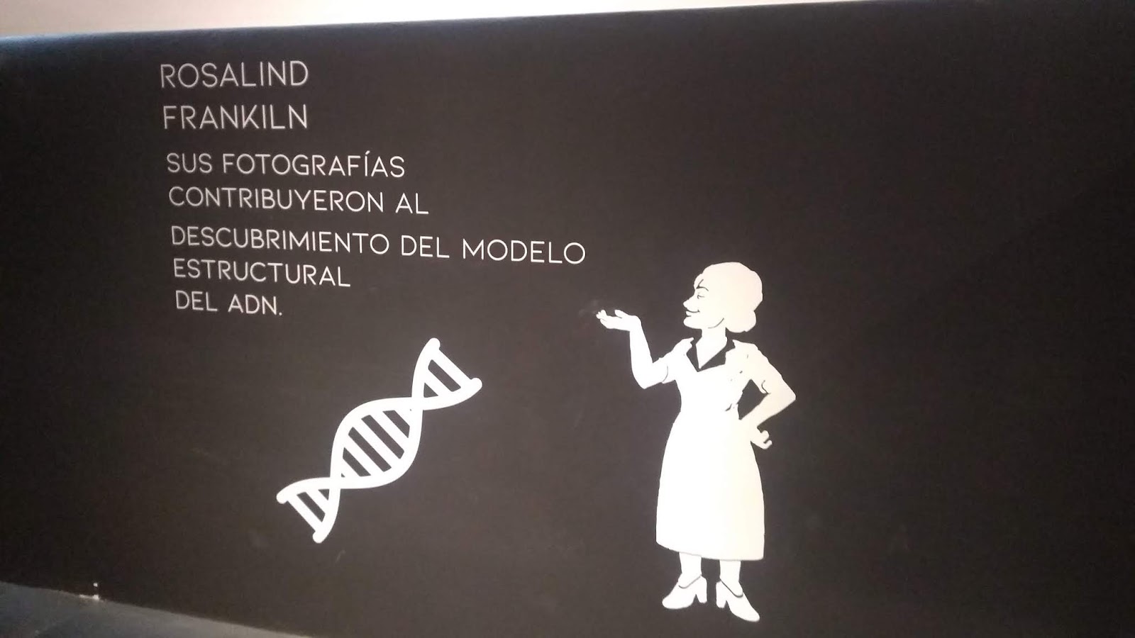 Dime De Donde Vienes Y Te Dire Quien Eres Letra Dime tus genes y te diré quien eres