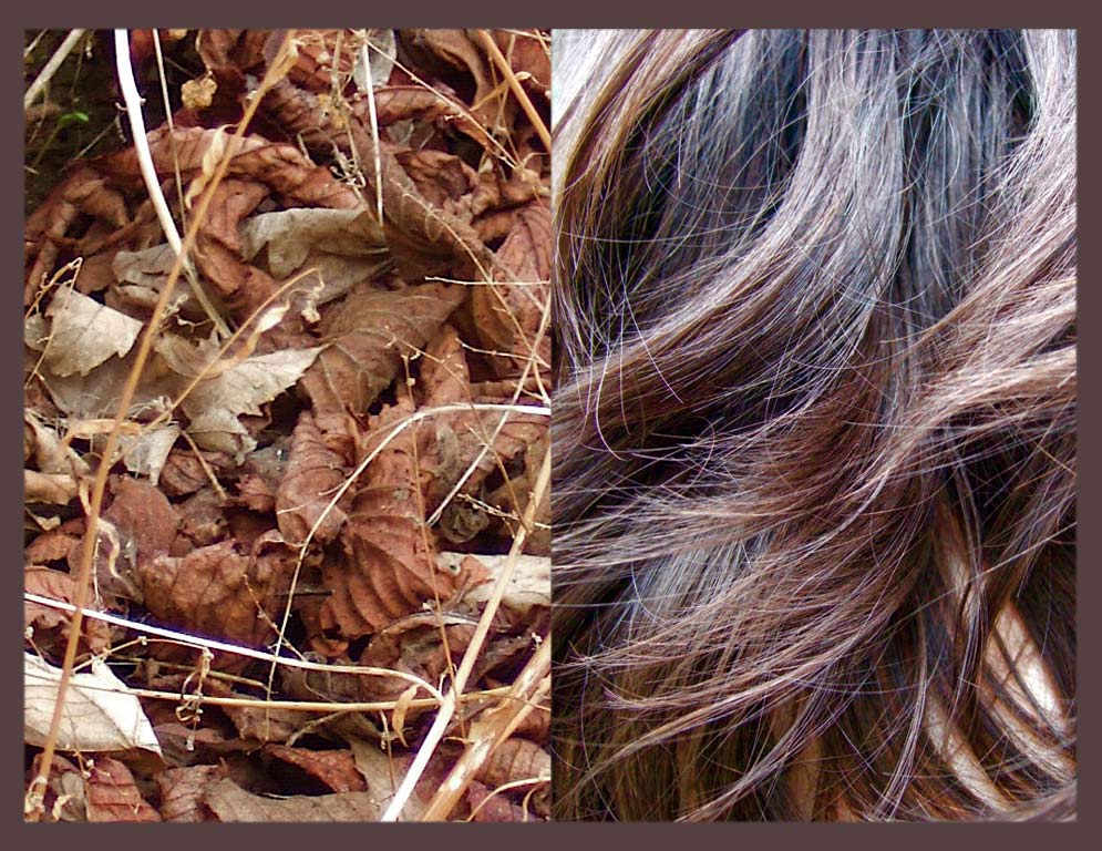 BEAUTÉ CHEVEUX VISAGE: Comment traiter les cheveux à