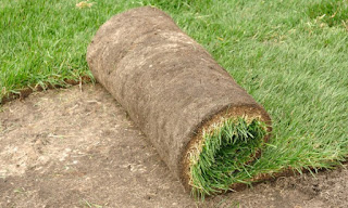 How to Lay Sod Over Existing Lawn How to Lay Sod Over Existing Lawn