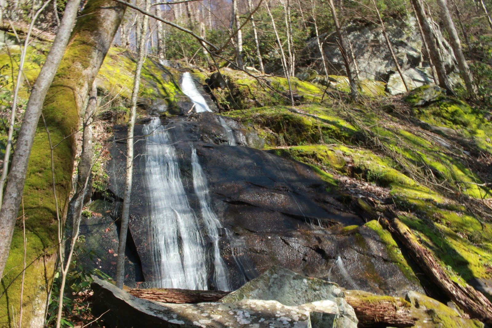 Cumberland Gal Porters Creek Trail and Fern Branch Falls