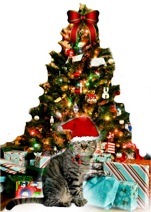 Designer Home Décor by Susan Decorating Christmas Tree with Cat Ornaments