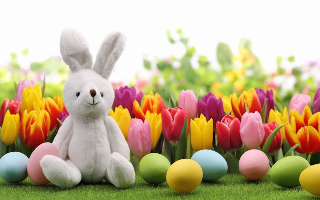 Happy Easter Eggs & Bunny 2017 Best Images Wallpapers Pictures Of Easter Bunny & Eggs Happy Easter Eggs & Bunny 2017 Best Images Wallpapers Pictures Of Easter Bunny & Eggs