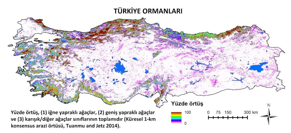 T%25C3%25BCrkiye%2BOrmanlar%25C4%25B1.jpg