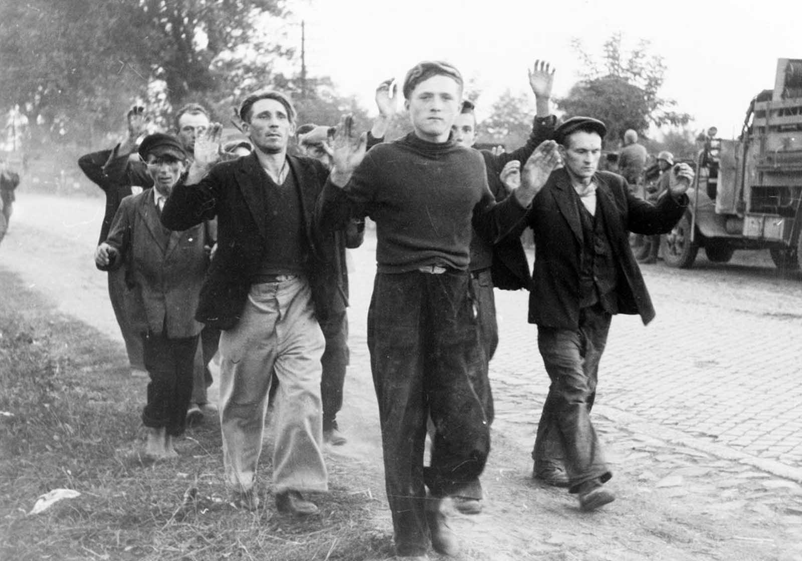 Several civilian prisoners of war, with arms raised, walk along a road during the German invasion of Poland in September of 1939.