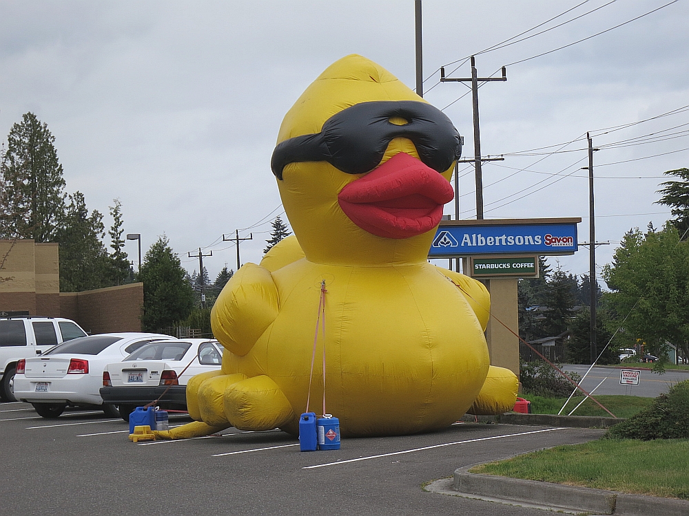 Ocean In View June 2013