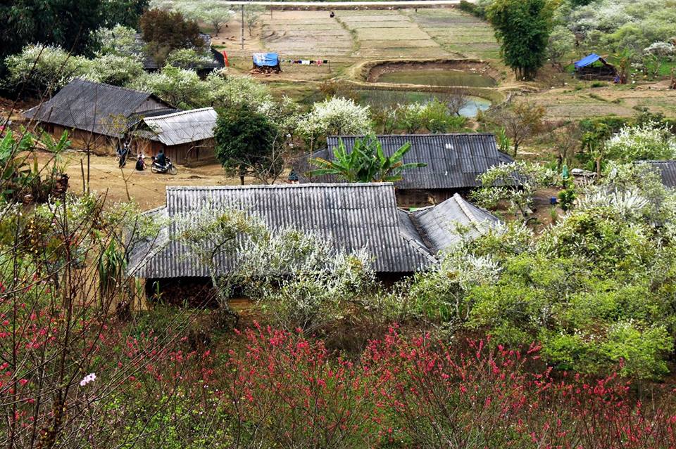 Hình Nền Phong Cảnh Mùa Xuân Đẹp – Hình nền Mùa Xuân 1/2019