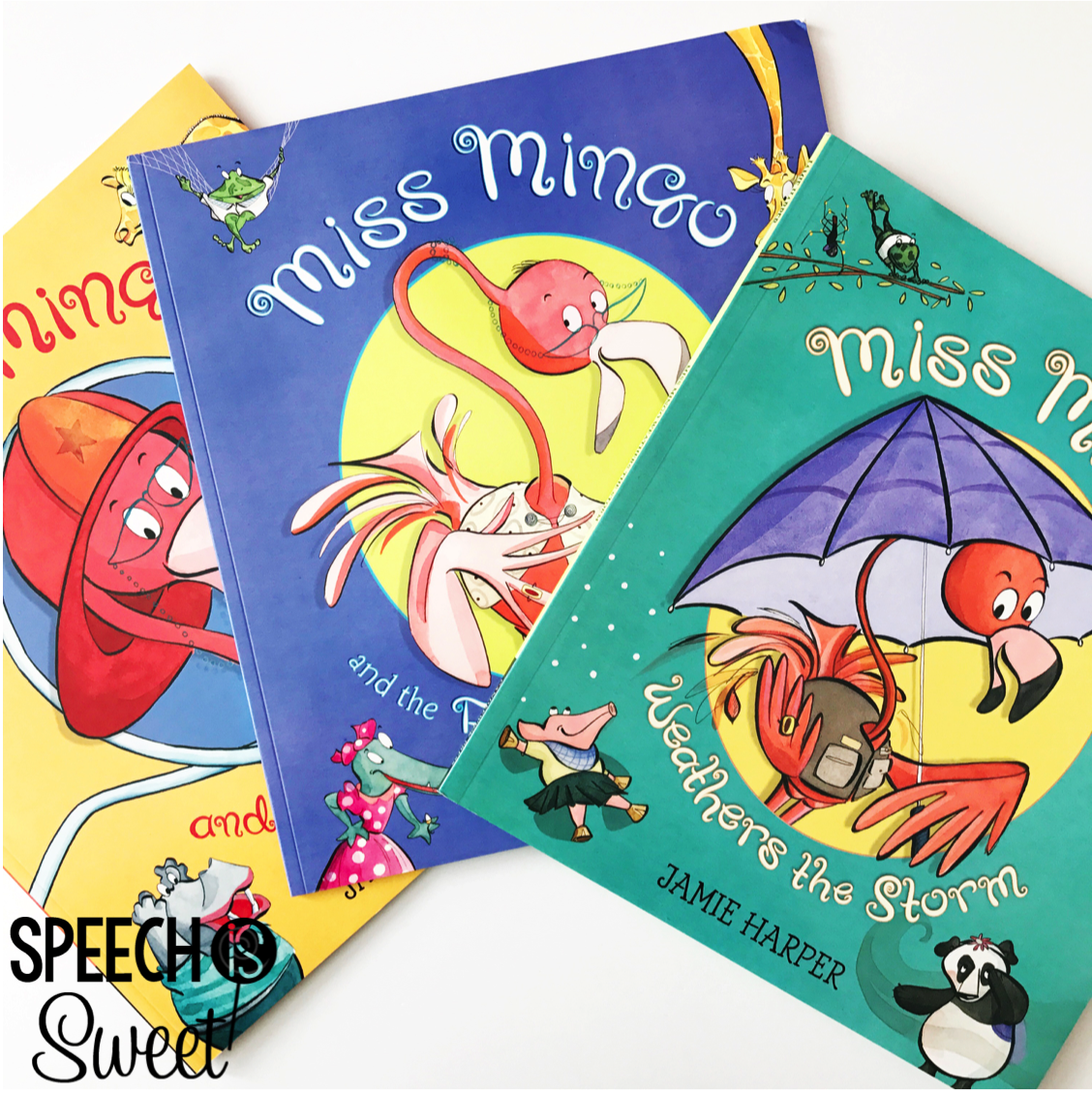 This fun series consists of Miss Mingo Weathers the Storm, Miss Mingo and the First Day of School, and Miss Mingo and the Fire Drill.