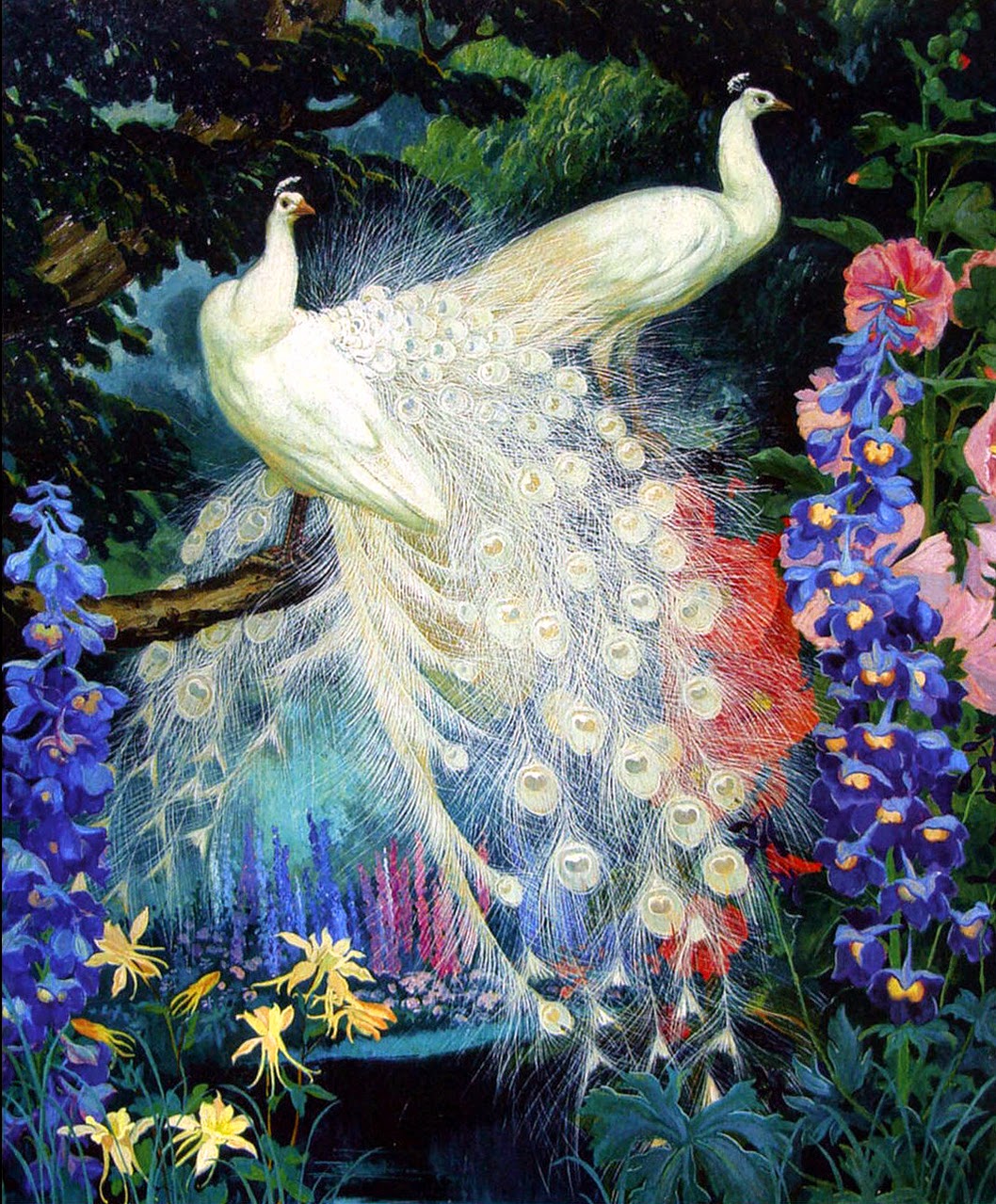 Let's keep it wild. White peacocks bloom