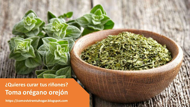 sirve el oregano para bajar de peso