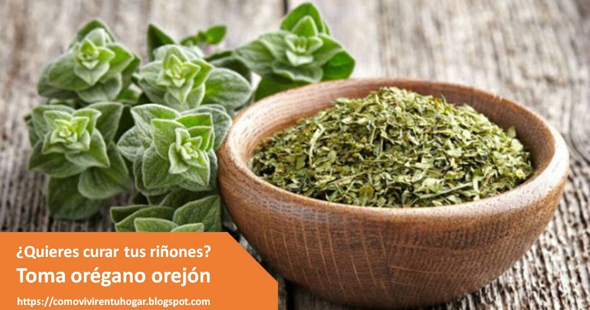 tomar+te+de+oregano+durante+el+embarazo