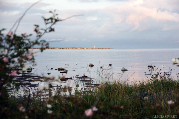 Heligholmen, Gotland, foto av Alicia Sivertsson.