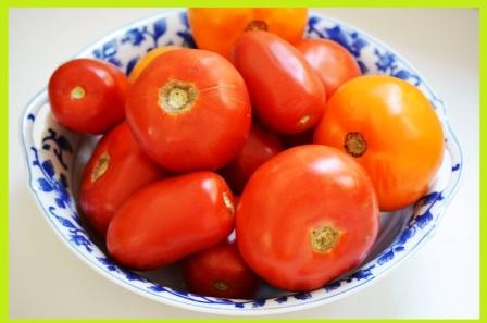 टमाटर को स्टोर करके रखने का तरीका - Preserve Tomatoes Recipe