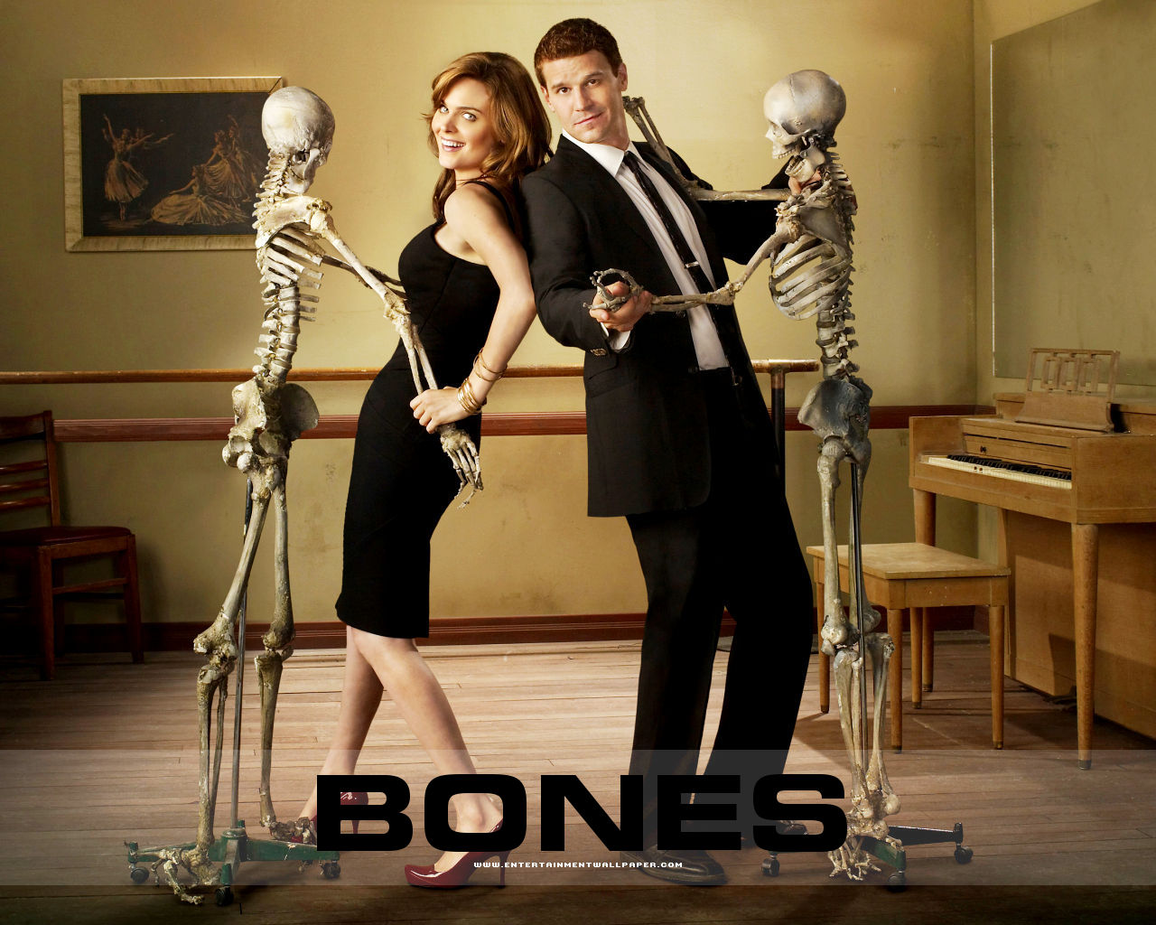 Bones Temporadas Del 1 Al 11 Mega