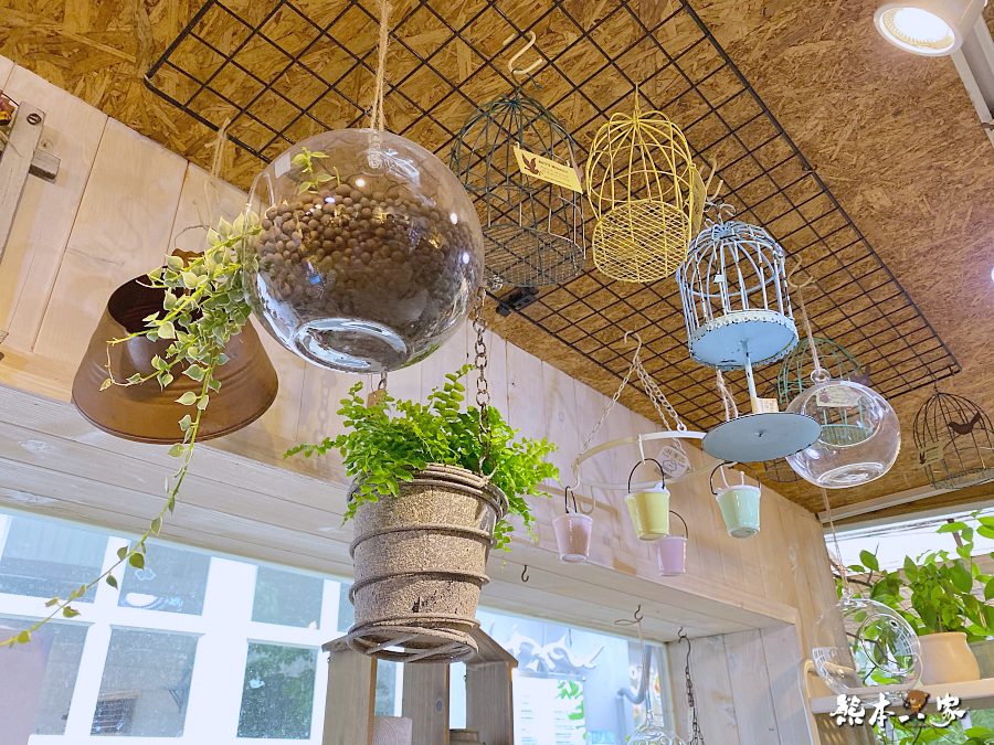 柚莉YURI Store Zakka鶯歌多肉植物店滿滿童趣文青風的秘巷雜貨店