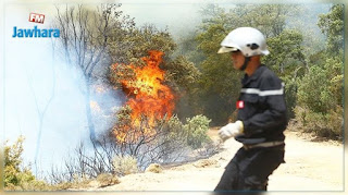بنزرت الجنوبية: حريق يأتي على أكثر من 2000 “بالة قرط” في منطقة لواتة بنزرت الجنوبية: حريق يأتي على أكثر من 2000 “بالة قرط” في منطقة لواتة