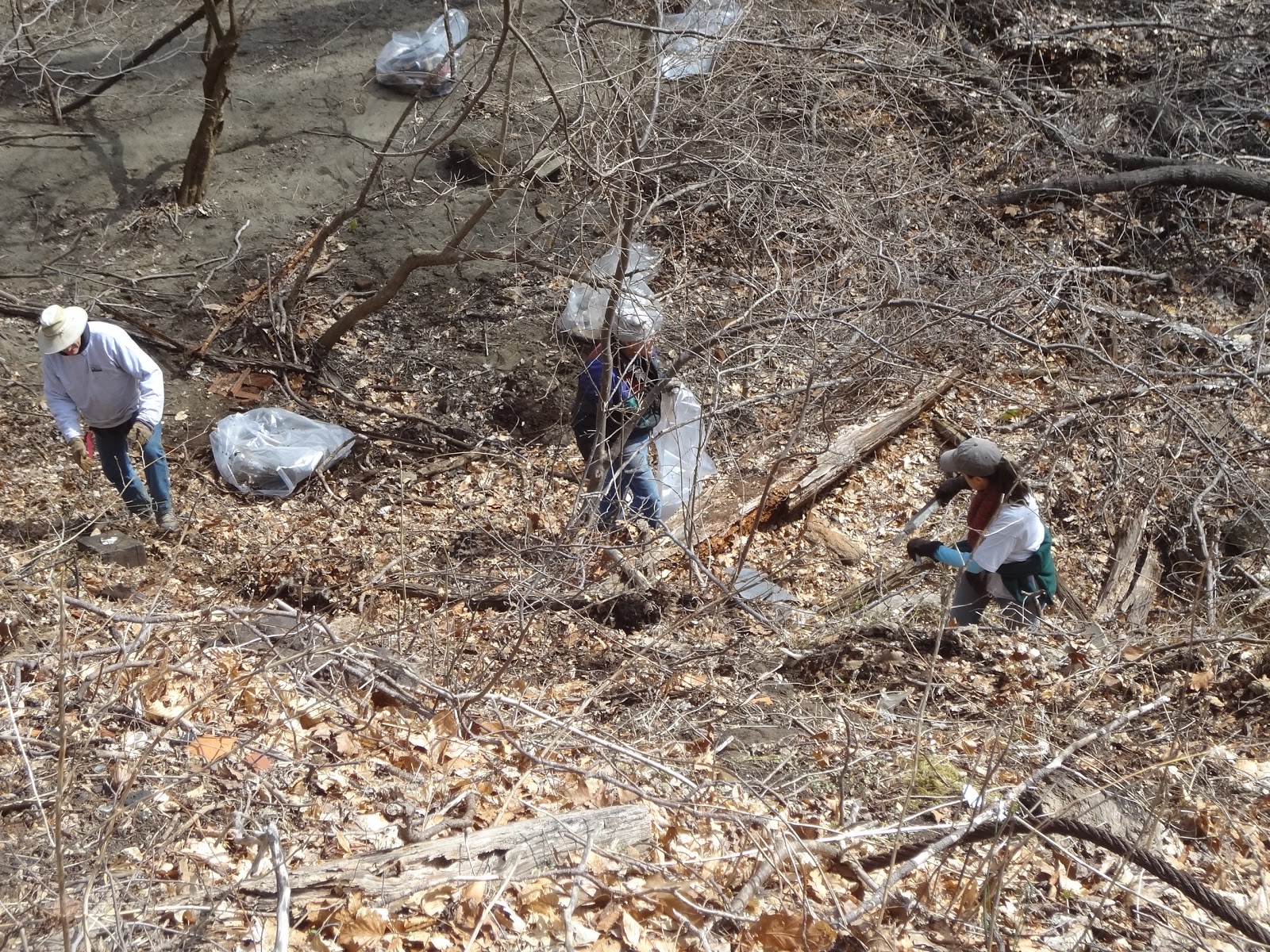 Navesink Swimming River Group