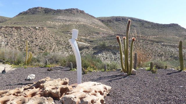 Esculturas de piedra Cactus Níjar