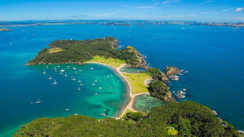 Travel New Zealand On A Budget!