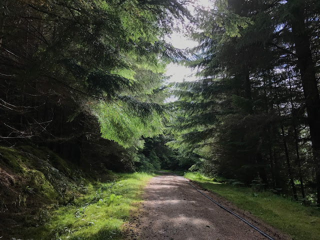 Great Glen Way Walking Holidays Forest Tracks