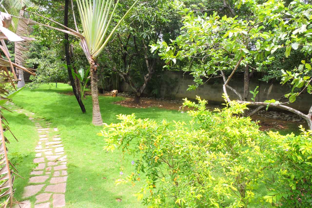 Lime Tree Beach House ECR EzeeStays ECR Beach House,Holiday Rentals