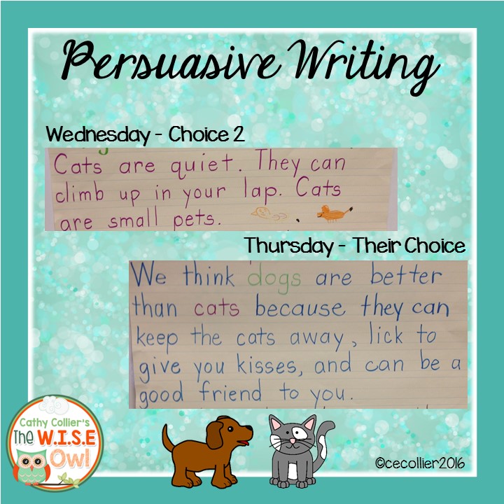 persuasive essay about cats and dogs