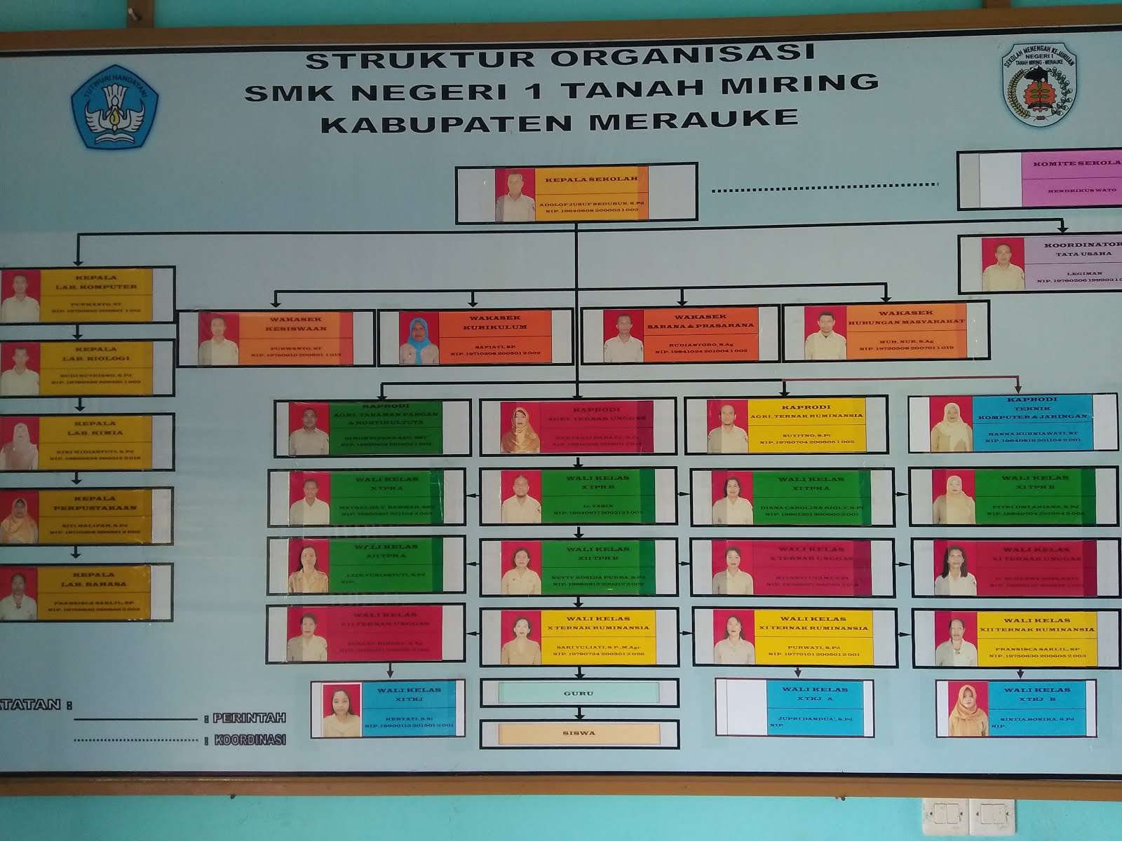 STRUKTUR ORGANISASI