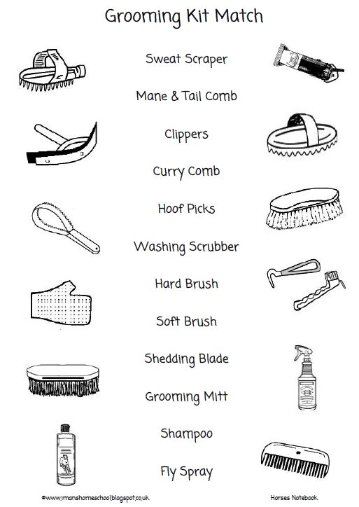 Iman's Home-School: Horses Notebook & Activity Pack