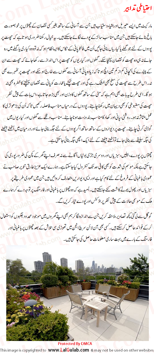 Khwab Ki Tabeer, Khawab Ki Tabeer, Khwabon Ki Tabeer, Roof Garden In