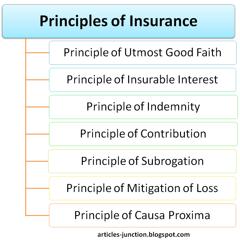Six Principles Of Insurance , What Are The Six Principles Of Insurance ...